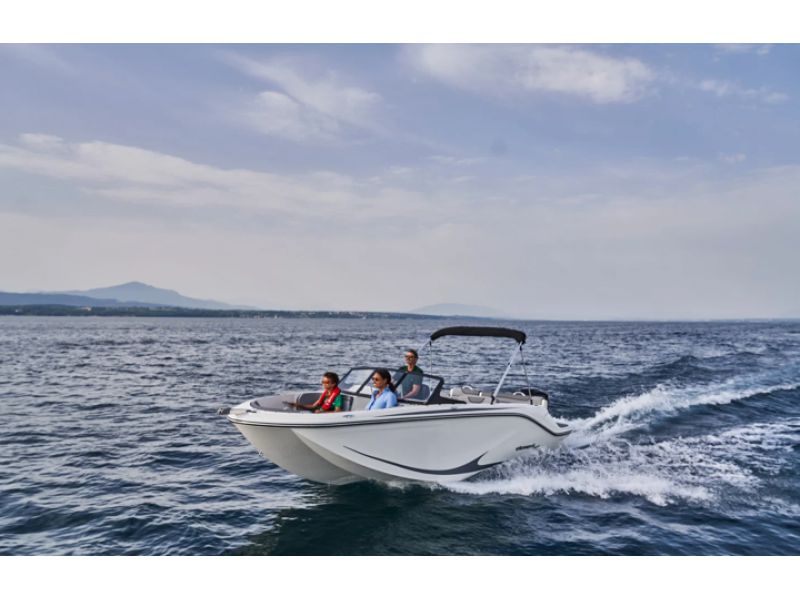BAYLINER M19